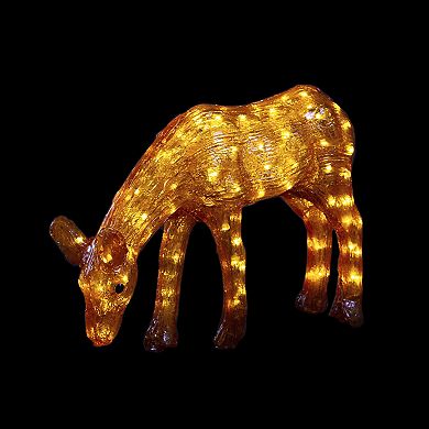 Northlight LED Lighted Acrylic Reindeer Outdoor Christmas Decoration