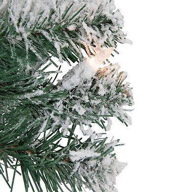 Northlight Pre-Lit Clear Light Flocked Snow White 24-Inch Artificial Christmas Wreath