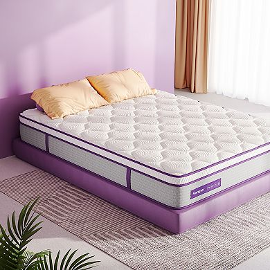 Sersper 10 In Memory Foam Hybrid Mattress 5 Zone Pocket Spring Mattress In A Box