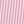 Pink Carnation