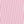 Pink Carnation