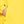 Primrose Yellow