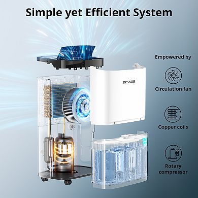 120 Pint Energy Star Dehumidifier For Basement Up To 5,000 Sq. Ft