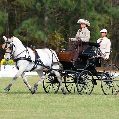 Breyer Horse The Traditional Series Sweetwater Zorah Bell “Zoobie” Toy Horse
