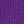 Purple Orchid