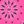 Hot Pink