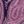 Light Pink Paisley
