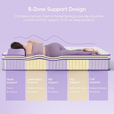 Sersper 12 In Memory Foam Hybrid Mattress 5 Zone Pocket Spring Mattress In A Box