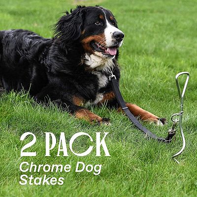 Corkscrew dog leash best sale