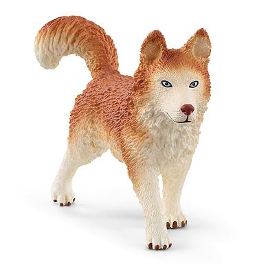 Schleich Wild Life: Antarctic Expedition 19-Piece Playset