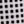 Black White