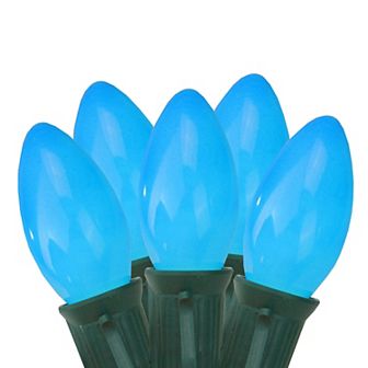Northlight 24-ft. 25-Count Blue Indoor / Outdoor Christmas Lights Strand
