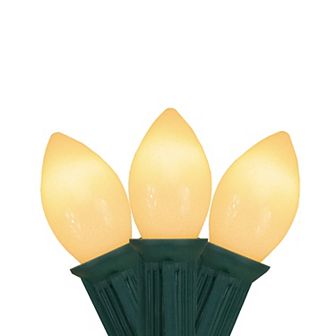 Northlight 24-ft. 25-Count Clear Mini Indoor / Outdoor Christmas Lights Strand