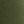 Olive Forest