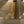 Antique Brass