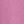 Mauve Orchid
