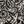 Black White Floral