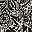 Black White Floral