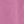 Mauve Orchid