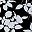 Black Porcelain Floral