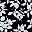 Black Shadow Floral