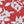 Coral Shadow Floral