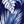 Navy Palm Print