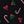 Black Mistletoe