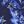 Navy Floral Tie Dye