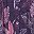 Midnight Violet Palm