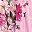 Pink Romantic Rose