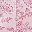 Pale Lavender Paisley