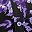 Black Purple Floral