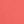 Sunset Coral