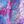 Vivid Berry Multi