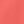 Sunset Coral