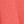 Sunset Coral