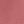 Desert Rose
