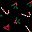 Black Mistletoe