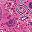 Peony Petal Paisley