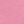 Delicate Pink Rose