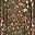 Dark Olive Floral