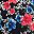 Black Multi Poppy