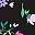 Black Multi Tulip