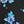Blue Rose Ditsy
