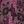 Dark Berry Floral