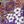 Violet Paisley Garden