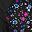 Black Raspberry