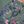 Pine Paisley
