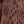 Cognac Snake Print